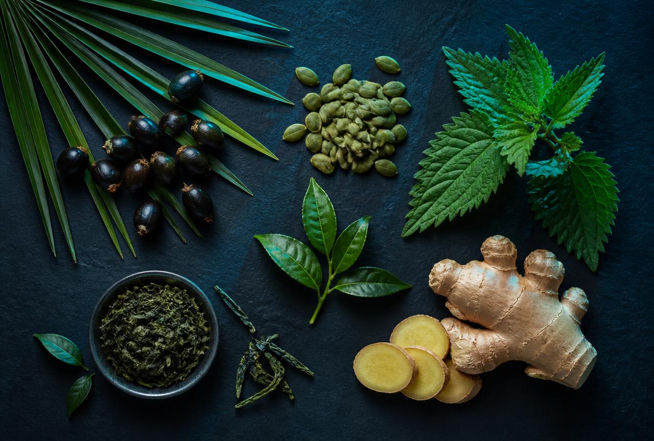 Saw palmetto berries, pumpkin seeds, nettle leaves, green tea and ginger root laid out on dark slate